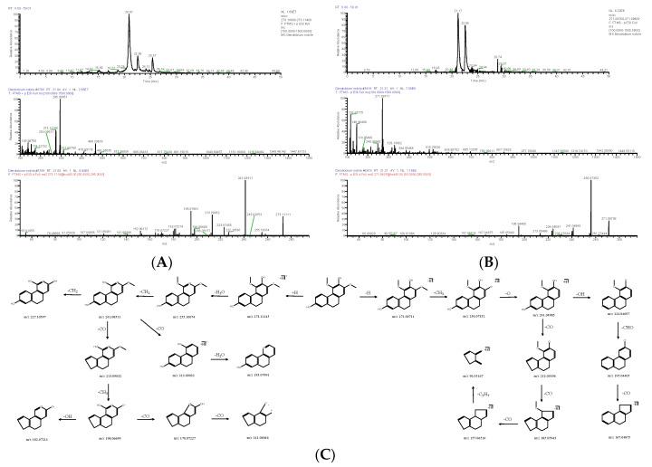 https://cdn.ncbi.nlm.nih.gov/pmc/blobs/30cc/10057382/9d2a1dd2f5a1/molecules-28-02683-g006.jpg
