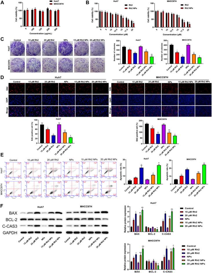 https://cdn.ncbi.nlm.nih.gov/pmc/blobs/30cc/12334708/163741192cb1/41598_2025_15236_Fig2_HTML.jpg