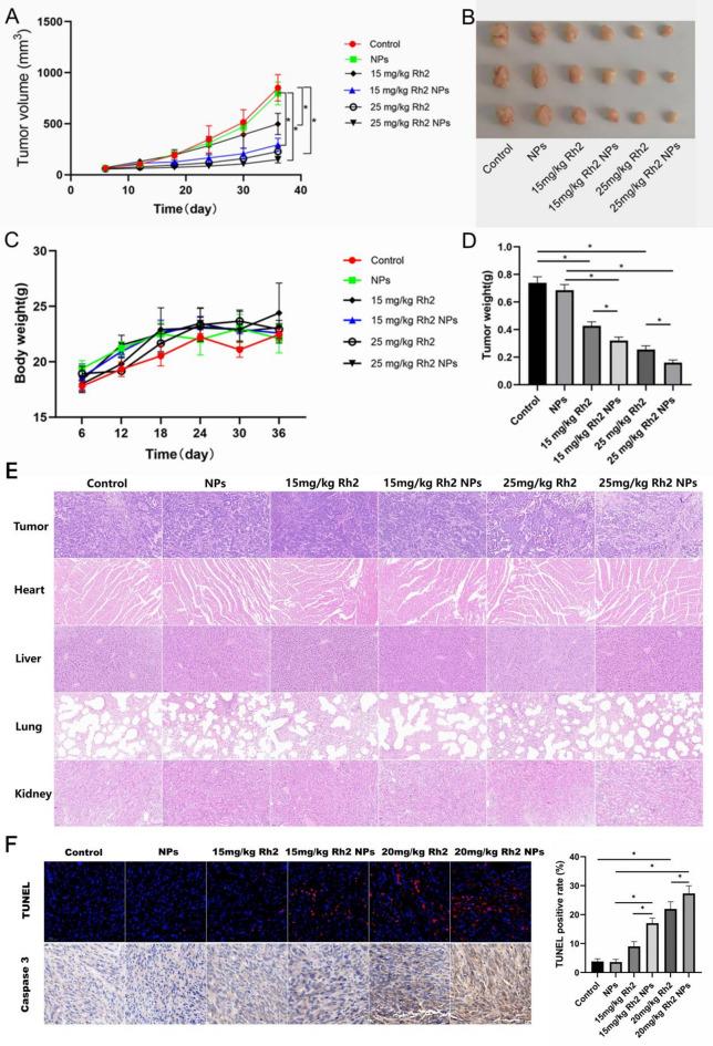 https://cdn.ncbi.nlm.nih.gov/pmc/blobs/30cc/12334708/fa7958663f44/41598_2025_15236_Fig5_HTML.jpg