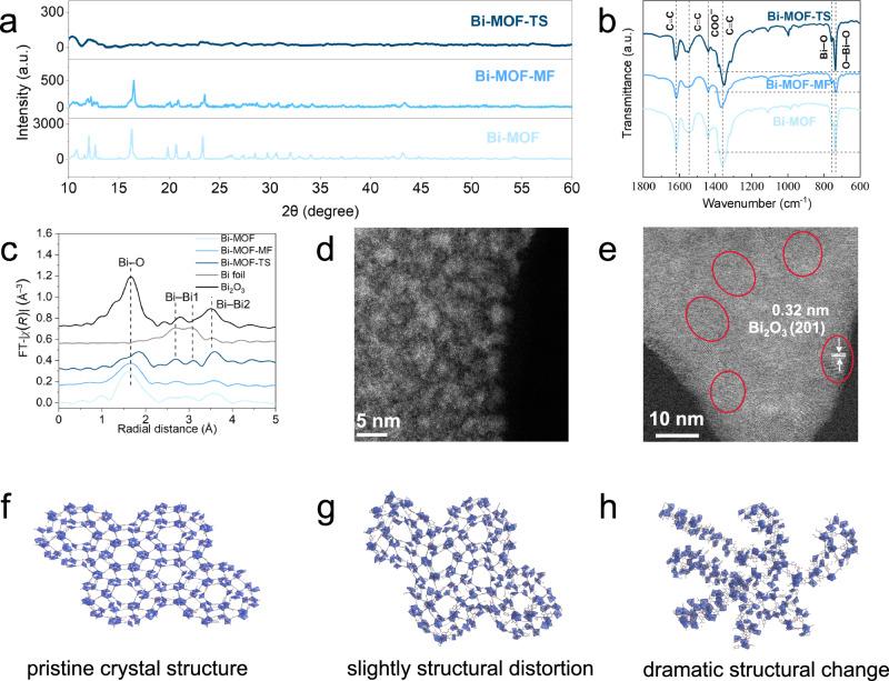 https://cdn.ncbi.nlm.nih.gov/pmc/blobs/30cf/11850590/37fb58635456/41467_2025_56975_Fig2_HTML.jpg