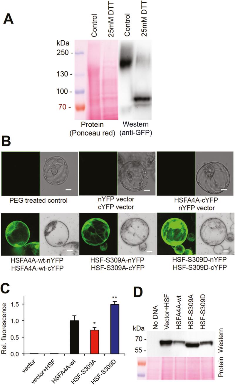 https://cdn.ncbi.nlm.nih.gov/pmc/blobs/30cf/6760271/f714e5a57d86/erz217f0005.jpg