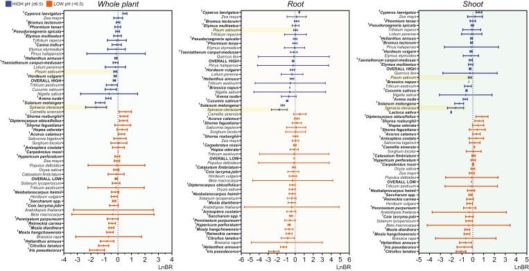 https://cdn.ncbi.nlm.nih.gov/pmc/blobs/30d0/11358259/2cc9243fafdb/erae106_fig2.jpg