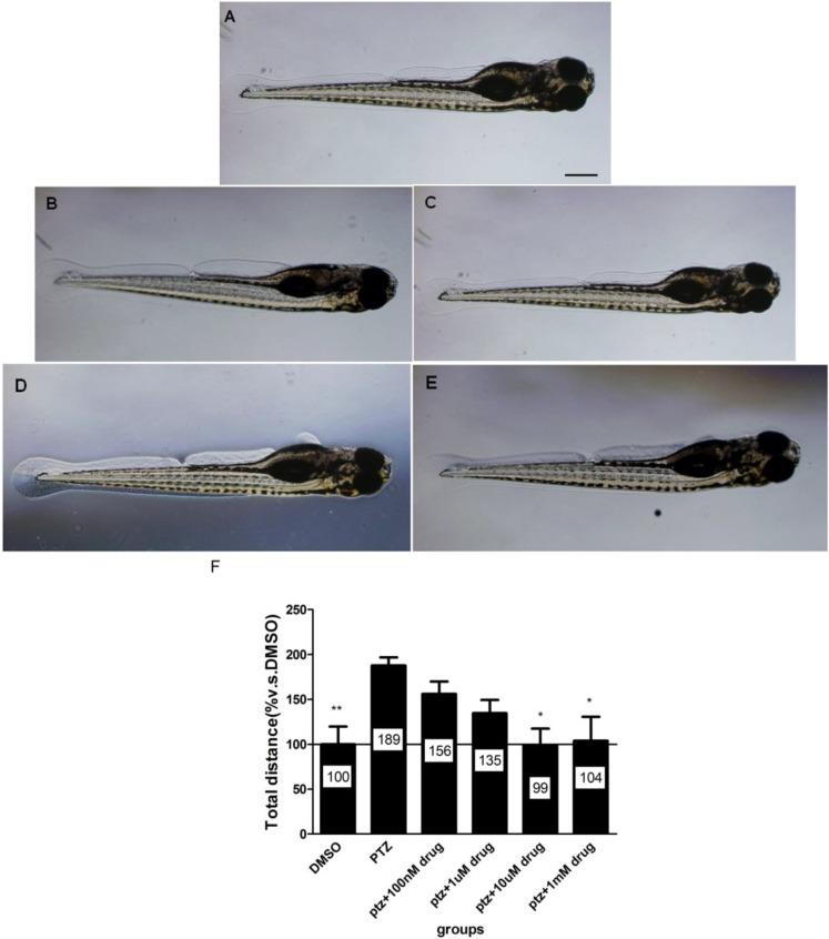 https://cdn.ncbi.nlm.nih.gov/pmc/blobs/30d3/4071578/fa22938133b4/marinedrugs-12-03307-g005.jpg