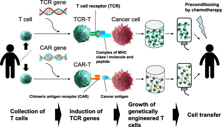 https://cdn.ncbi.nlm.nih.gov/pmc/blobs/30dc/6542133/ded6c9b4bcd7/13045_2019_742_Fig1_HTML.jpg