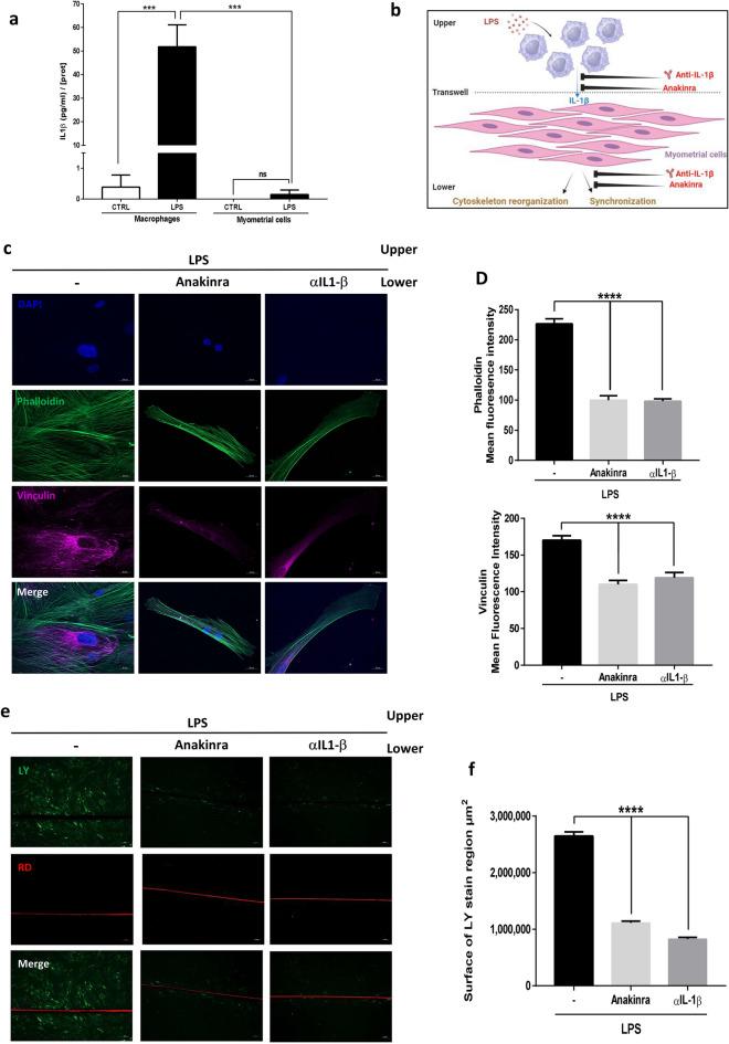https://cdn.ncbi.nlm.nih.gov/pmc/blobs/30dd/10879161/d4ca99161c31/41598_2024_54507_Fig5_HTML.jpg
