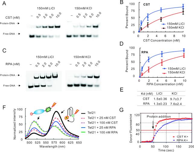 https://cdn.ncbi.nlm.nih.gov/pmc/blobs/30dd/6547417/db1814b34f16/gkz264fig1.jpg