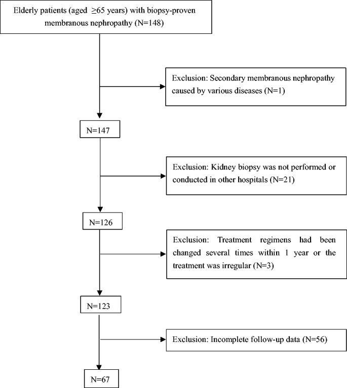 https://cdn.ncbi.nlm.nih.gov/pmc/blobs/30df/10193915/2a6506f795ee/IRNF_A_2212081_F0001_B.jpg