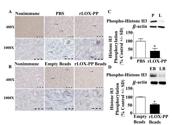 https://cdn.ncbi.nlm.nih.gov/pmc/blobs/30e1/3280126/1e6b650529ef/pone.0031188.g005.jpg