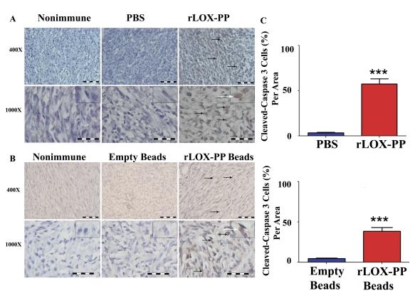 https://cdn.ncbi.nlm.nih.gov/pmc/blobs/30e1/3280126/c5470121ceae/pone.0031188.g006.jpg