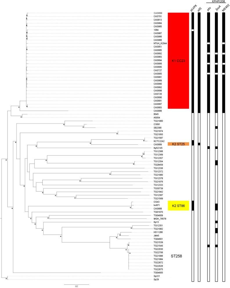 https://cdn.ncbi.nlm.nih.gov/pmc/blobs/30e3/4513082/56ca20433b89/mbo0041524030001.jpg