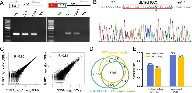 https://cdn.ncbi.nlm.nih.gov/pmc/blobs/30e4/5137427/e1bba82531c5/gkw734fig2.jpg