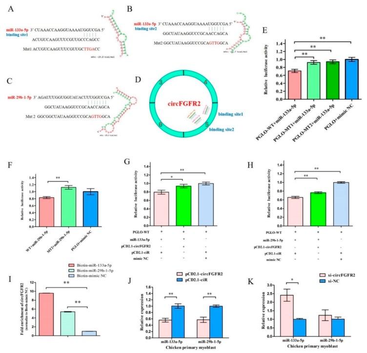 https://cdn.ncbi.nlm.nih.gov/pmc/blobs/30e4/6262629/874e650dbcbe/cells-07-00199-g003.jpg