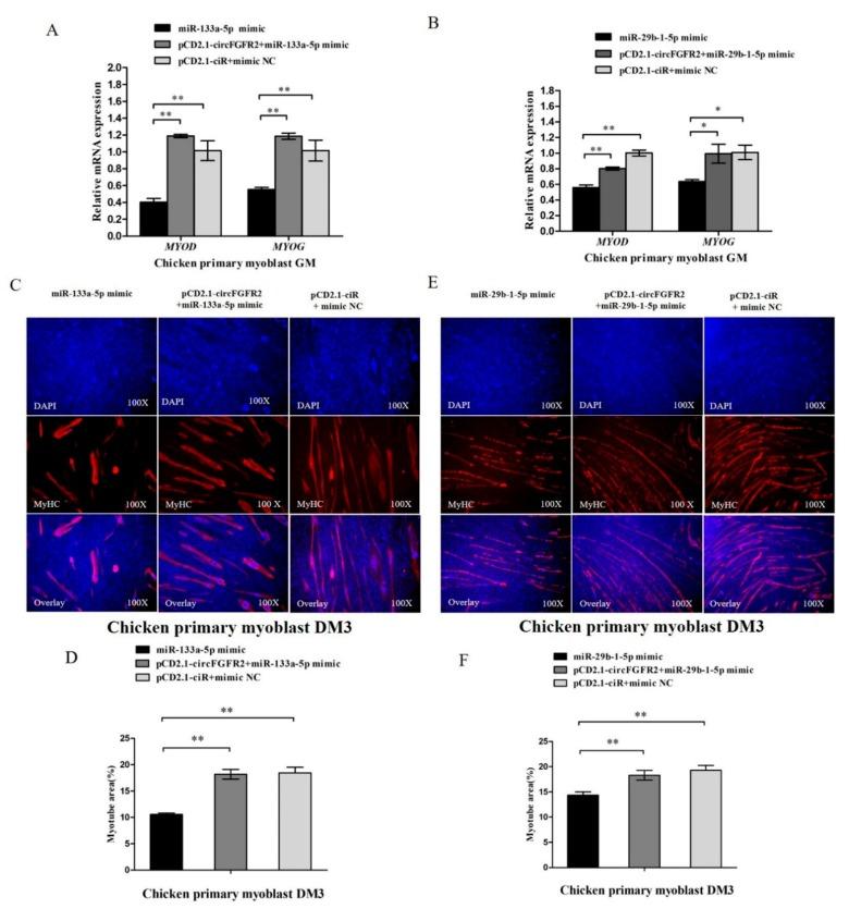 https://cdn.ncbi.nlm.nih.gov/pmc/blobs/30e4/6262629/b2662f75b35a/cells-07-00199-g007.jpg