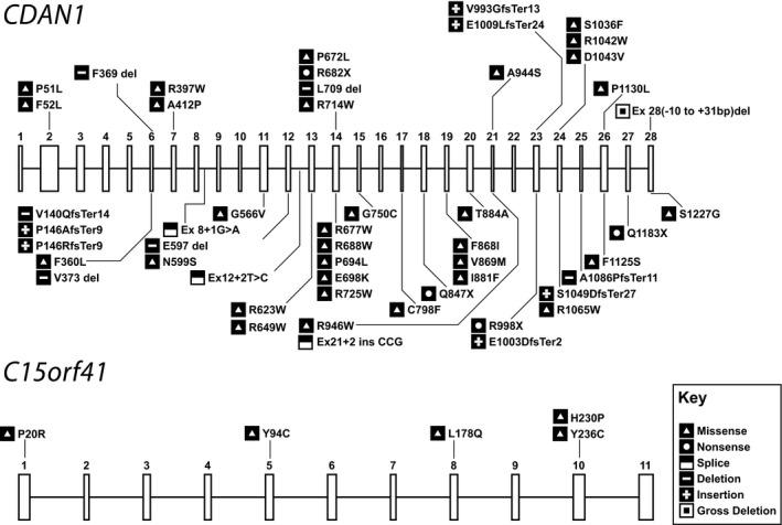 https://cdn.ncbi.nlm.nih.gov/pmc/blobs/30e4/6519365/4f1cd4763af1/BJH-185-436-g004.jpg
