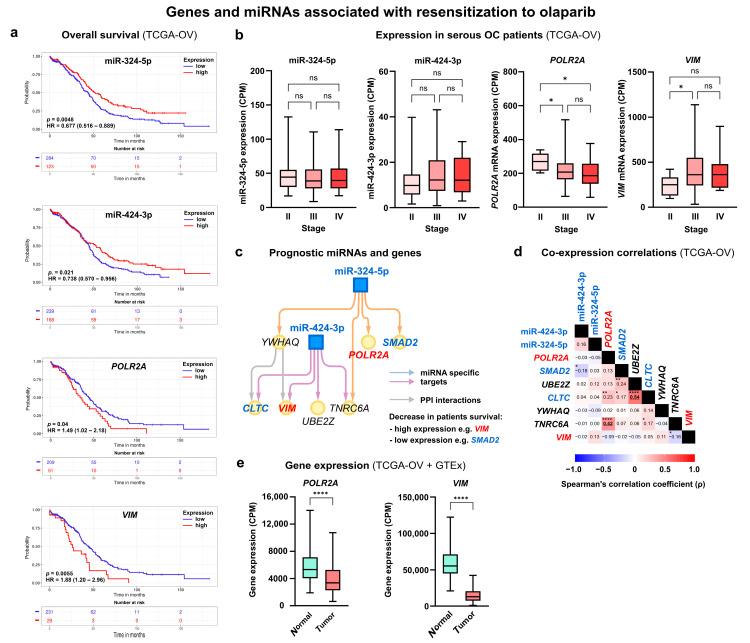 https://cdn.ncbi.nlm.nih.gov/pmc/blobs/30e5/11119970/5904a0435777/cells-13-00867-g008.jpg