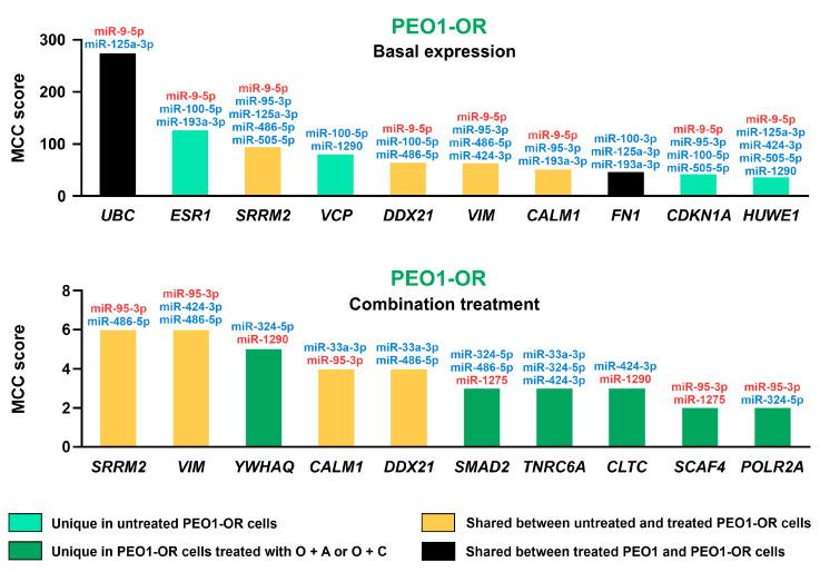 https://cdn.ncbi.nlm.nih.gov/pmc/blobs/30e5/11119970/5dab602ee859/cells-13-00867-g005.jpg