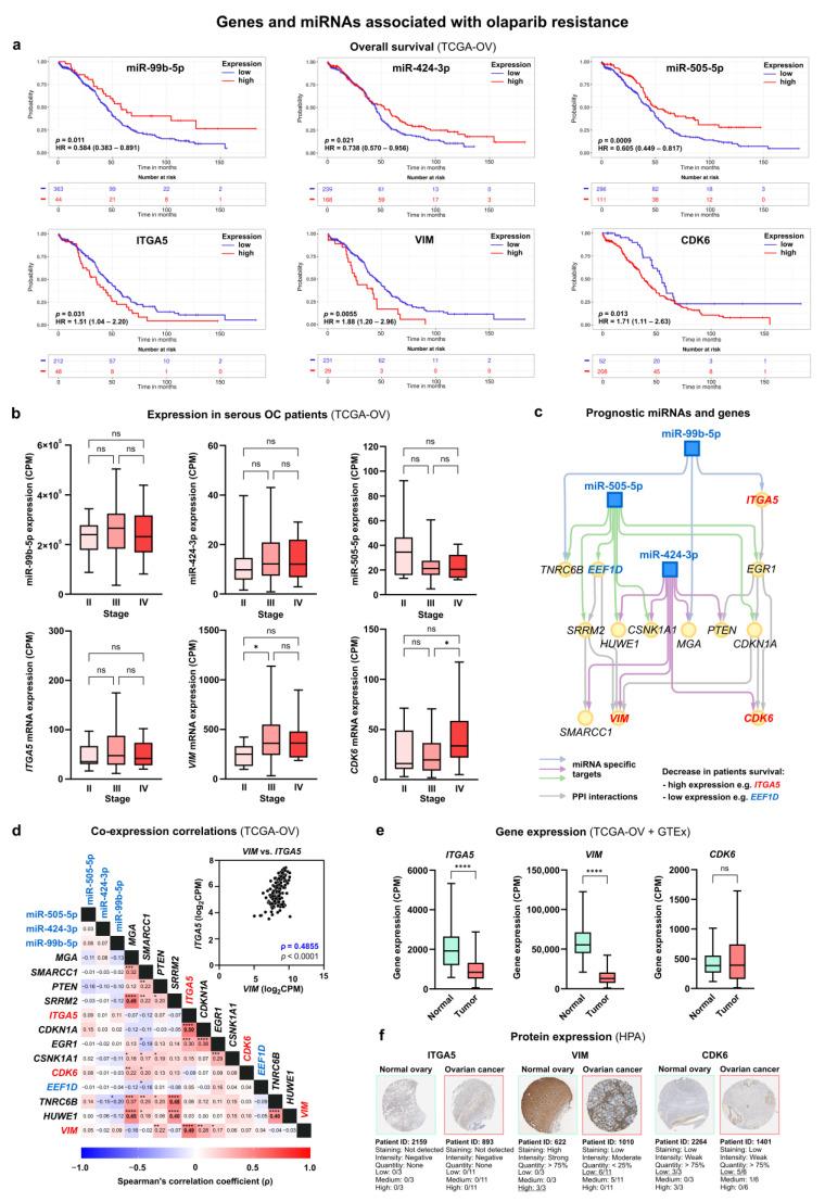 https://cdn.ncbi.nlm.nih.gov/pmc/blobs/30e5/11119970/733f94a129c8/cells-13-00867-g007.jpg