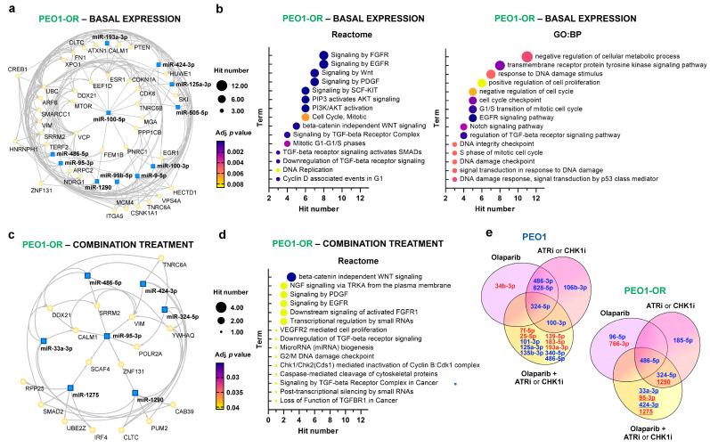 https://cdn.ncbi.nlm.nih.gov/pmc/blobs/30e5/11119970/a7a91b71d657/cells-13-00867-g004.jpg