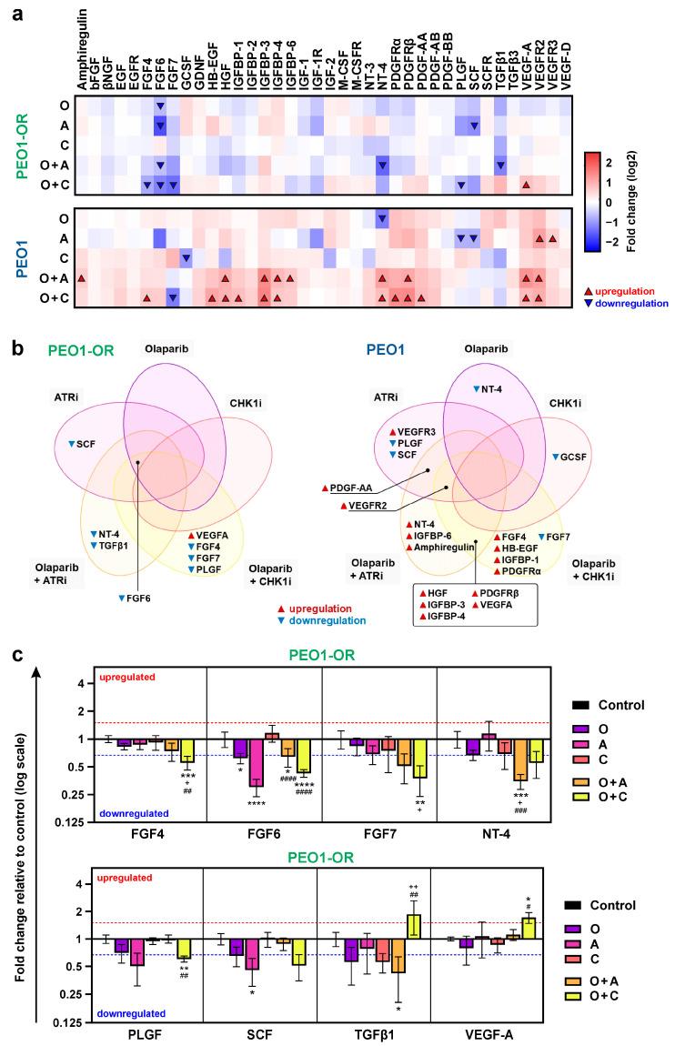 https://cdn.ncbi.nlm.nih.gov/pmc/blobs/30e5/11119970/b4754684300b/cells-13-00867-g006.jpg