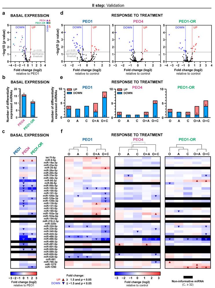 https://cdn.ncbi.nlm.nih.gov/pmc/blobs/30e5/11119970/c63b939628bb/cells-13-00867-g002.jpg