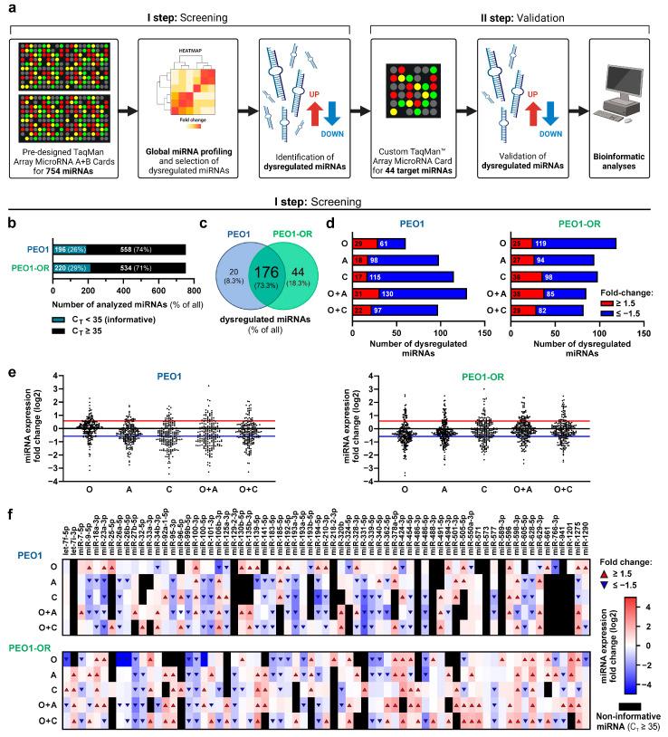 https://cdn.ncbi.nlm.nih.gov/pmc/blobs/30e5/11119970/f1448daa017c/cells-13-00867-g001.jpg