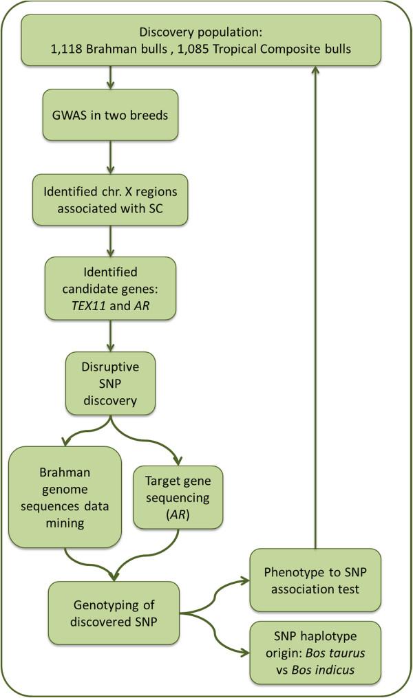 https://cdn.ncbi.nlm.nih.gov/pmc/blobs/30e7/3893399/08fd6b707795/1471-2156-15-6-3.jpg