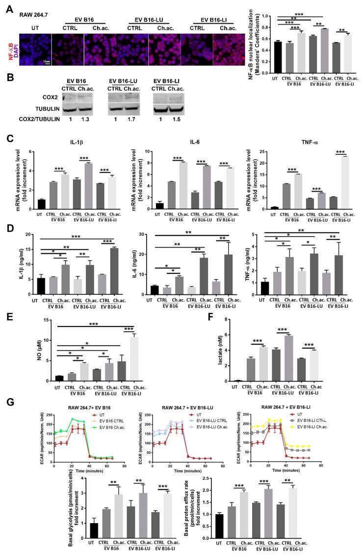 https://cdn.ncbi.nlm.nih.gov/pmc/blobs/30e7/9599952/8a152e72b51c/cancers-14-05090-g002.jpg