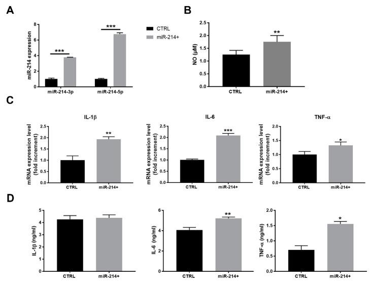 https://cdn.ncbi.nlm.nih.gov/pmc/blobs/30e7/9599952/ab552d7fdc70/cancers-14-05090-g004.jpg