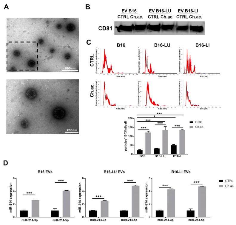 https://cdn.ncbi.nlm.nih.gov/pmc/blobs/30e7/9599952/ca0d5d02012c/cancers-14-05090-g001.jpg