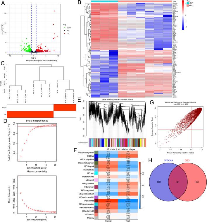 https://cdn.ncbi.nlm.nih.gov/pmc/blobs/30ea/12343669/9965934bc1d6/fcell-13-1625058-g001.jpg