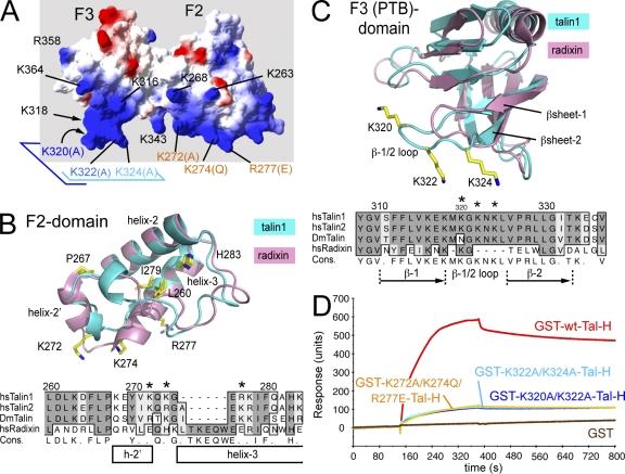 https://cdn.ncbi.nlm.nih.gov/pmc/blobs/30eb/2806581/bddd67c2f741/JCB_200908134_RGB_Fig3.jpg