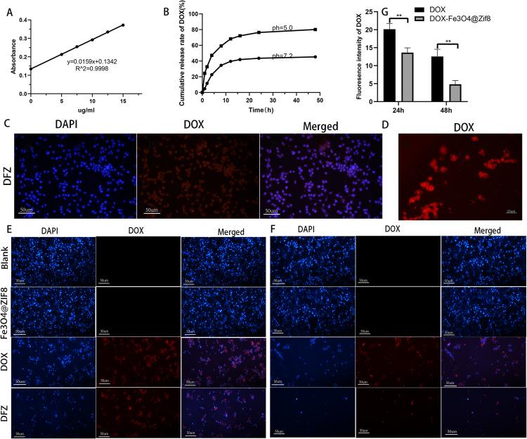 https://cdn.ncbi.nlm.nih.gov/pmc/blobs/30ed/10758197/dc1666946308/IJN-18-7985-g0002.jpg