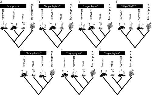 https://cdn.ncbi.nlm.nih.gov/pmc/blobs/30ed/5877938/bfc52c541430/pnas.1719588115fig01.jpg