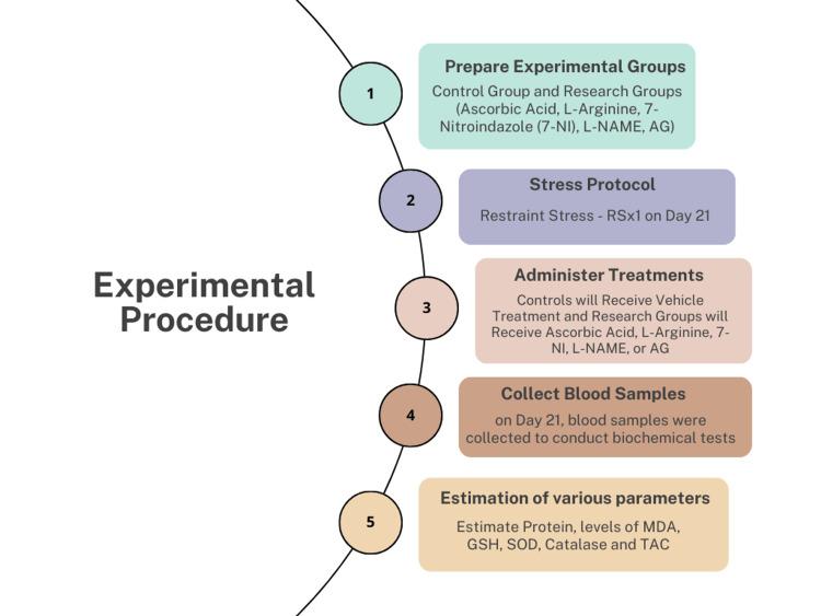 https://cdn.ncbi.nlm.nih.gov/pmc/blobs/30ee/10493075/1c63fdb10358/cureus-0015-00000043333-i01.jpg