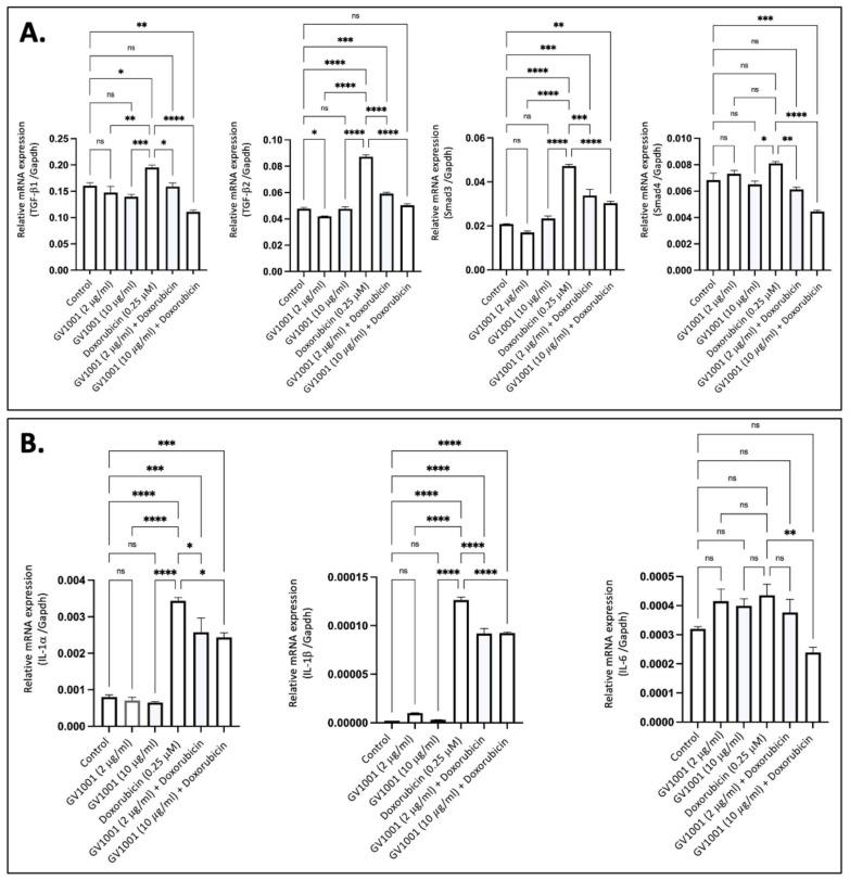 https://cdn.ncbi.nlm.nih.gov/pmc/blobs/30ee/11763685/bb2882de325e/cells-14-00098-g002.jpg