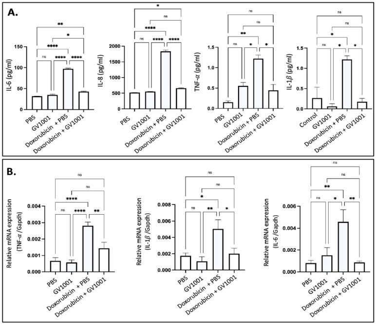 https://cdn.ncbi.nlm.nih.gov/pmc/blobs/30ee/11763685/bdc0ab191d67/cells-14-00098-g006.jpg