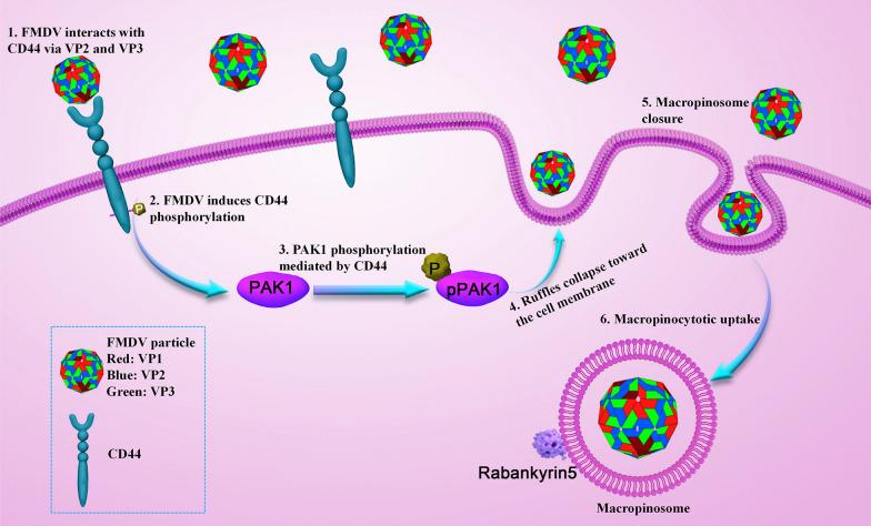 https://cdn.ncbi.nlm.nih.gov/pmc/blobs/30ee/12181885/c4da39b1f7e5/13567_2025_1555_Fig6_HTML.jpg