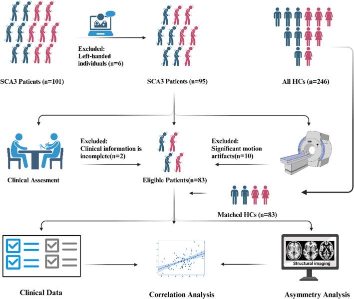 https://cdn.ncbi.nlm.nih.gov/pmc/blobs/30f1/11669571/3a8e18897deb/CNS-30-e70171-g003.jpg