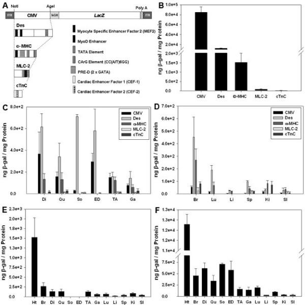 https://cdn.ncbi.nlm.nih.gov/pmc/blobs/30f1/2557000/9257f337f880/1479-0556-6-13-1.jpg