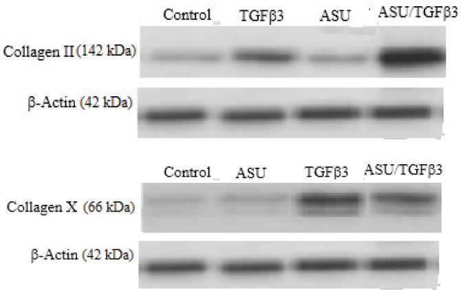 https://cdn.ncbi.nlm.nih.gov/pmc/blobs/30f3/7894631/bd6c998b97af/IJBMS-24-024-g001.jpg