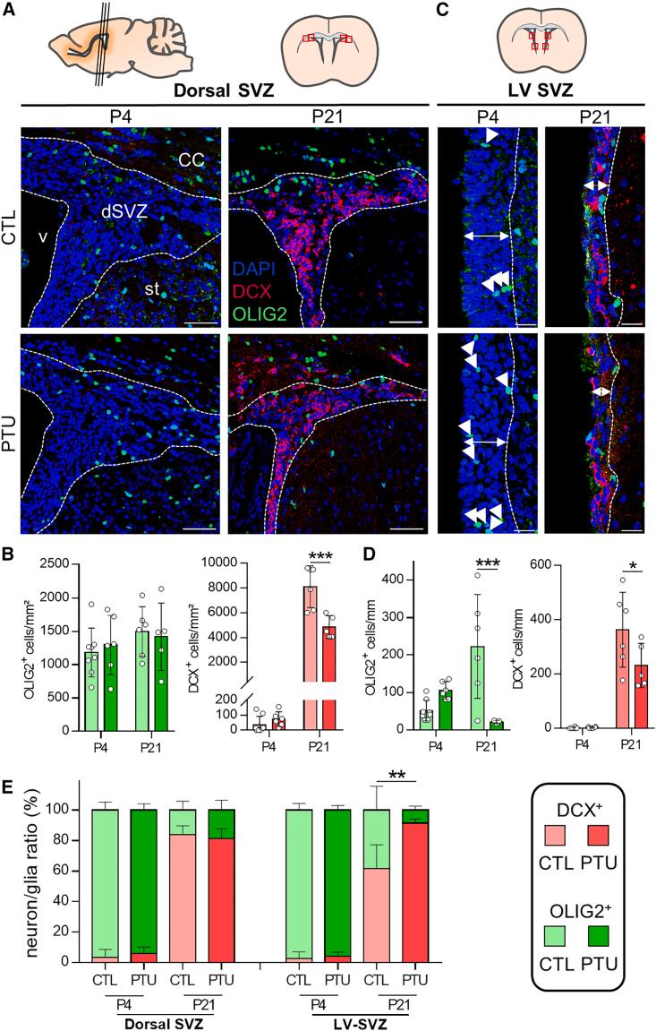 https://cdn.ncbi.nlm.nih.gov/pmc/blobs/30f5/9039754/e15facc11691/gr3.jpg