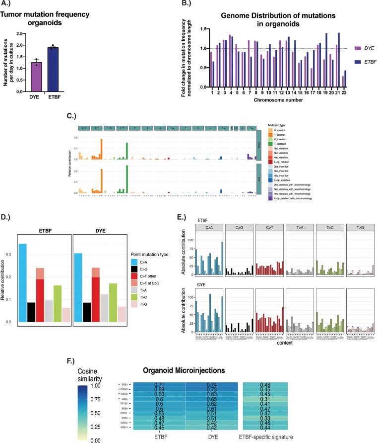 https://cdn.ncbi.nlm.nih.gov/pmc/blobs/30f7/9241831/07262d6c8e02/spectrum.01055-22-f004.jpg