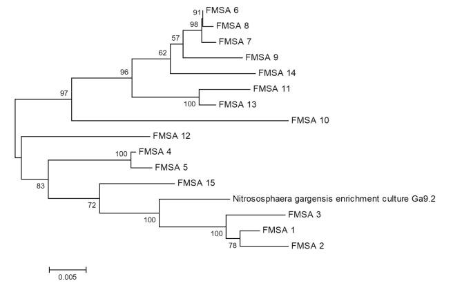 https://cdn.ncbi.nlm.nih.gov/pmc/blobs/30f9/10858365/e4b25d082f65/IJB-20-e2818-g003.jpg