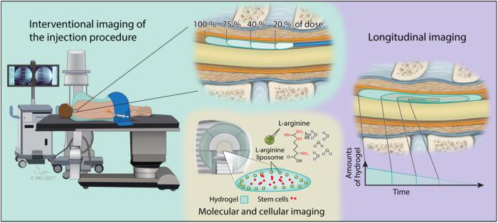 https://cdn.ncbi.nlm.nih.gov/pmc/blobs/30fa/5884770/910f1944103d/41536_2018_46_Fig4_HTML.jpg