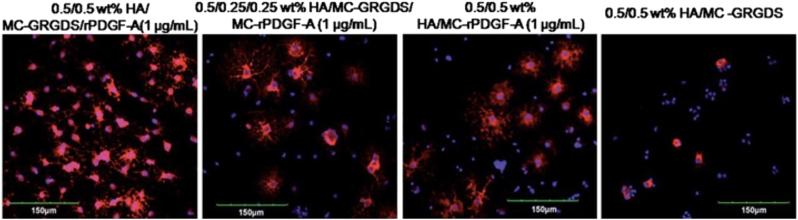 https://cdn.ncbi.nlm.nih.gov/pmc/blobs/30fa/5884770/9dfac4f77f07/41536_2018_46_Fig2_HTML.jpg