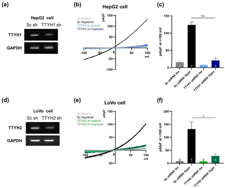 https://cdn.ncbi.nlm.nih.gov/pmc/blobs/30fa/6628158/c0094de587d5/cells-08-00562-g006.jpg