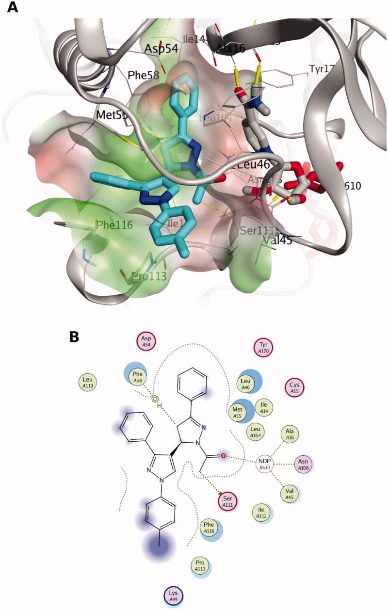 https://cdn.ncbi.nlm.nih.gov/pmc/blobs/30fa/9427035/98fb2b60b082/IENZ_A_2117316_F0002_C.jpg