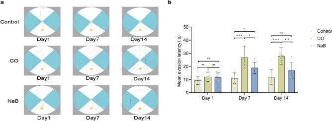 https://cdn.ncbi.nlm.nih.gov/pmc/blobs/30fc/10897214/6086a050373b/41598_2024_55198_Fig2_HTML.jpg