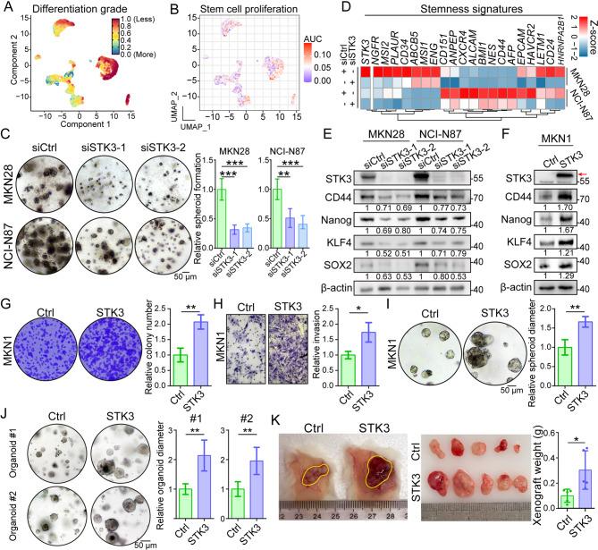 https://cdn.ncbi.nlm.nih.gov/pmc/blobs/30fe/12220525/78d0e35f4304/12943_2025_2391_Fig4_HTML.jpg