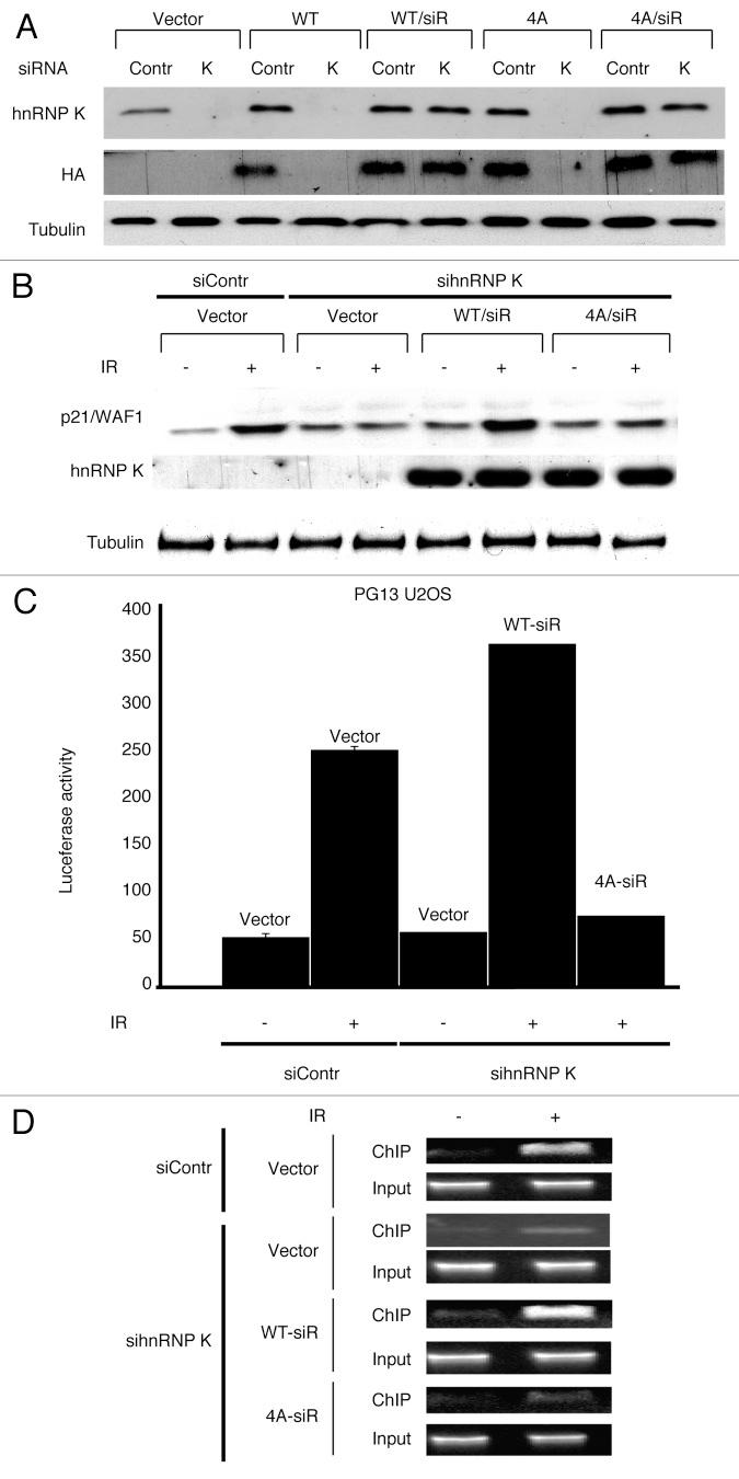 https://cdn.ncbi.nlm.nih.gov/pmc/blobs/3101/3594270/ba120a578191/cc-12-698-g3.jpg
